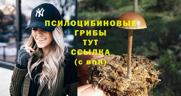 метамфетамин Богородицк