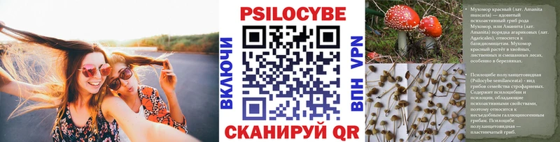 Псилоцибиновые грибы мицелий  Купить  Багратионовск 
